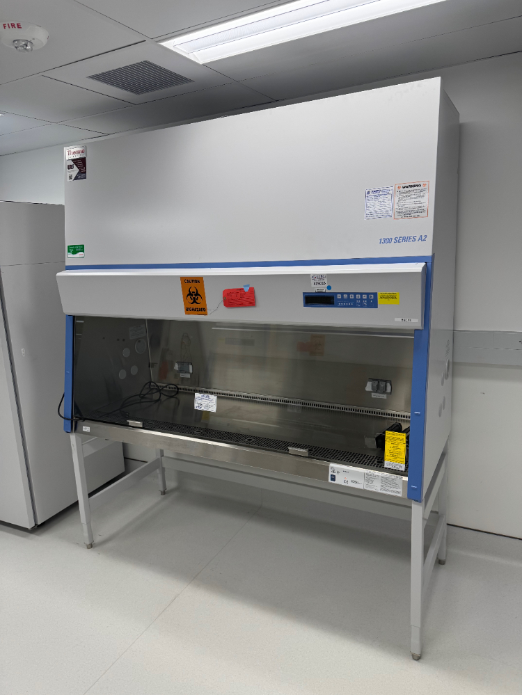 Image of Thermo 1300 Series A2 6' BioSafety Cabinet